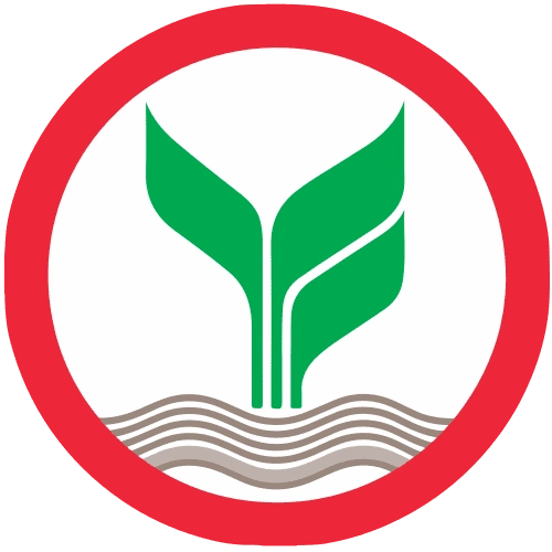 teenoi888